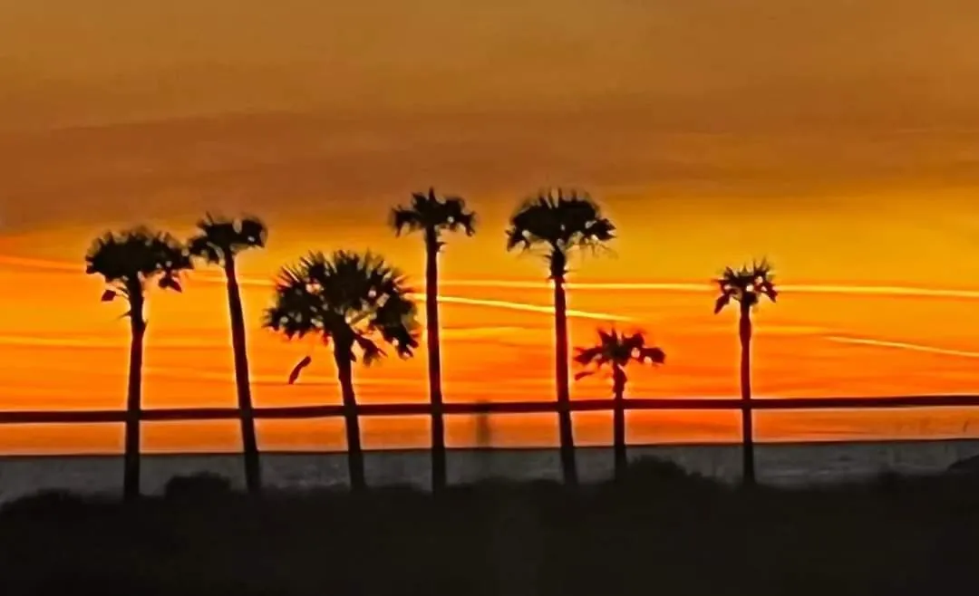 Apartment Shores Of Panama 1804 - 2 Bedroom Bunkroom Sleeps 8, Updated! Free Fun, Condo Panama City Beach